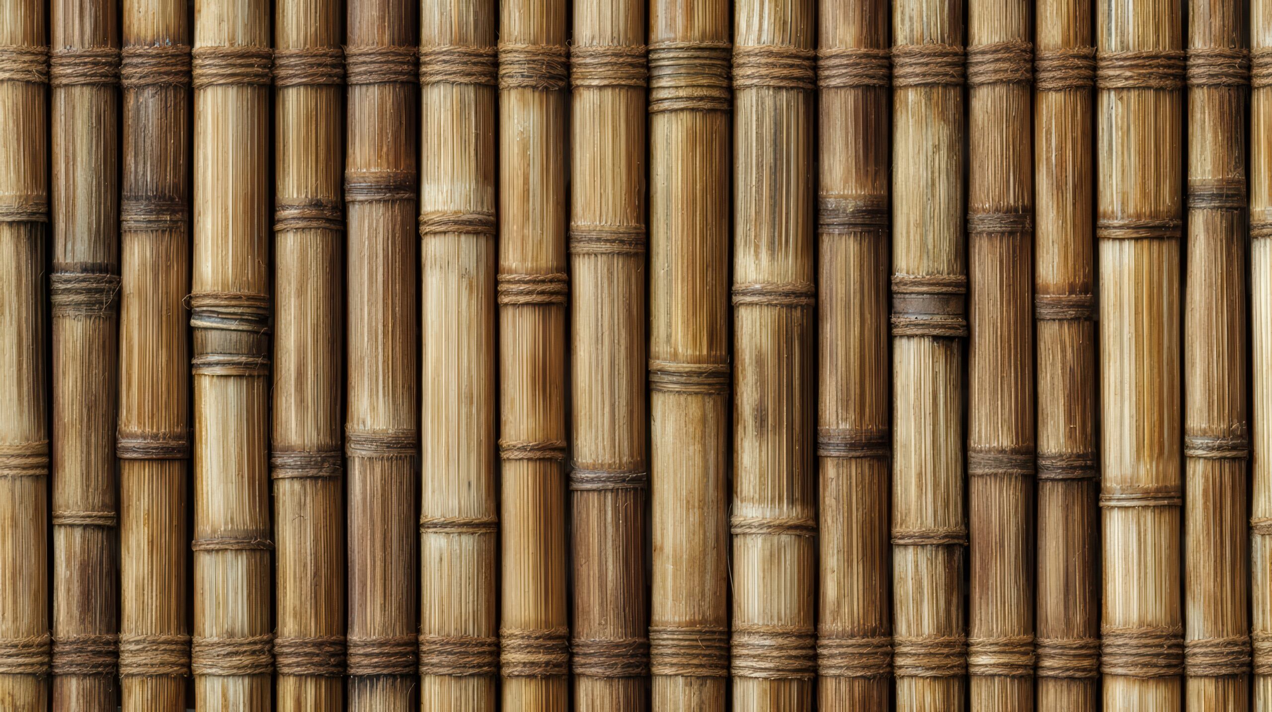 natural-brown-bamboo-stalks-texture