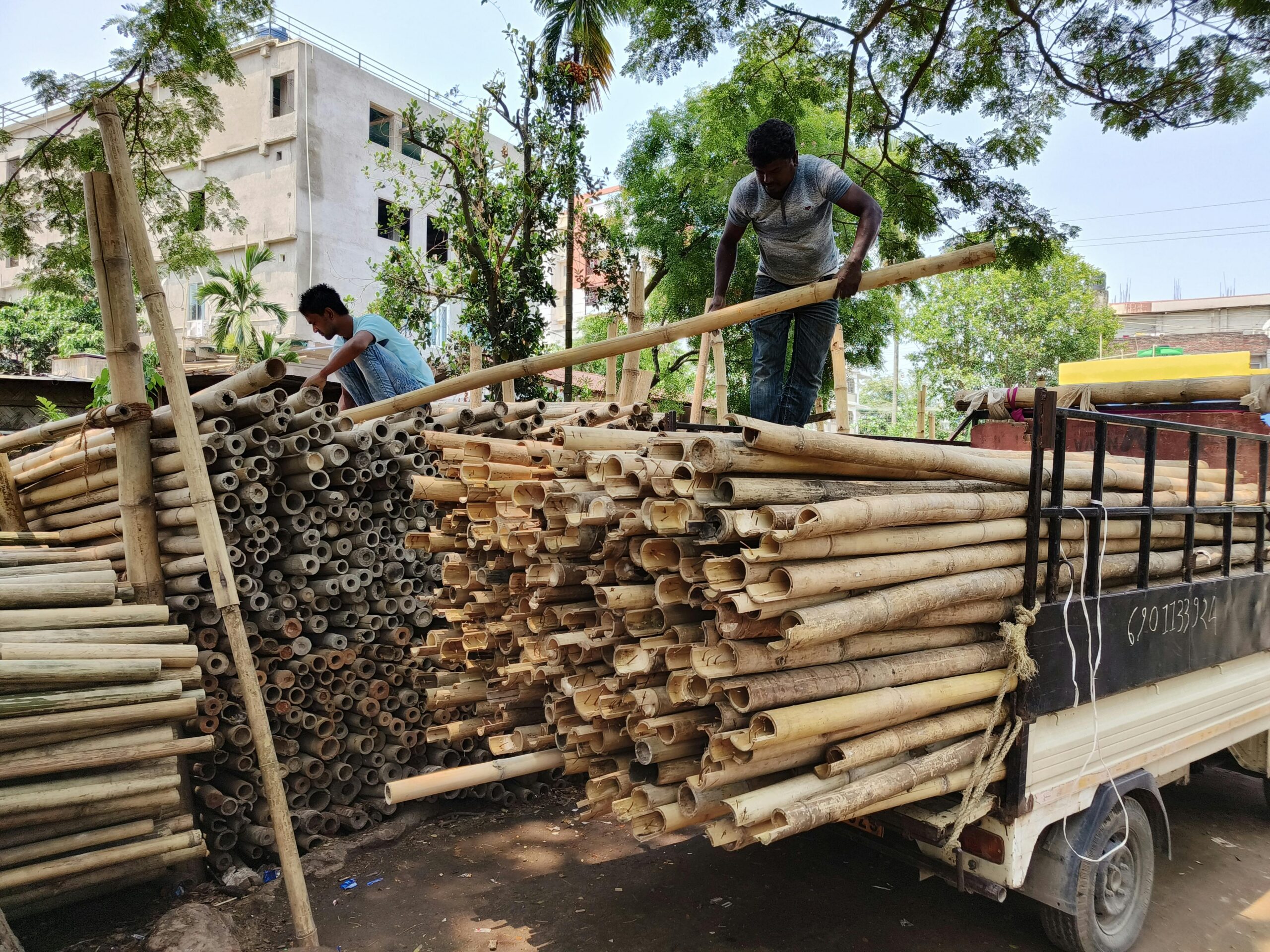 pexels-dhritishman-bharadwaj-barman-255082274-32568984