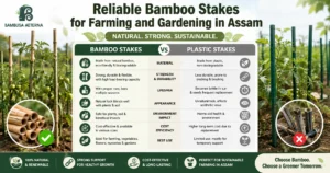 Reliable Bamboo Stakes for Farming and Gardening in Assam